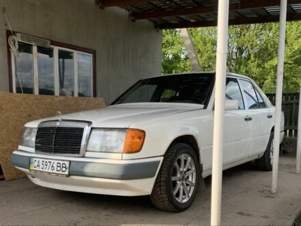 Мерседес 230 1988 у Андрушевке на Automoto.ua Білий Мерседес 230, об'ємом двигуна 2.3 л та пробігом 400 тис. км за 2450 $, фото 1 на Automoto.ua