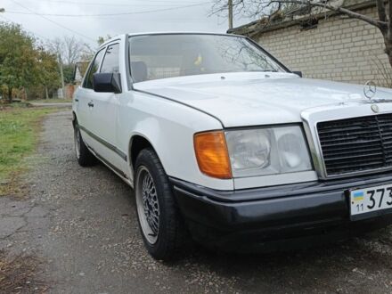 Мерседес 230 1988 в Днепре (Днепропетровске) на Automoto.ua Белый Мерседес 230, объемом двигателя 2.3 л и пробегом 357 тыс. км за 1700 $, фото 1 на Automoto.ua