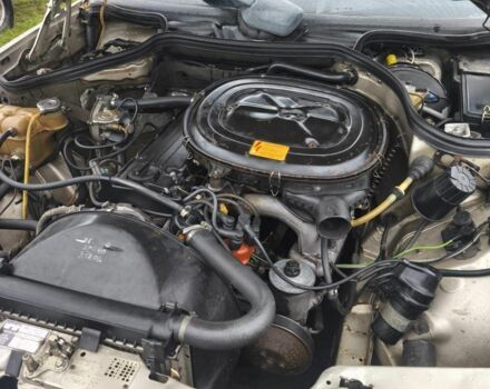 Бежевий Мерседес 230, об'ємом двигуна 2.3 л та пробігом 3 тис. км за 1800 $, фото 5 на Automoto.ua