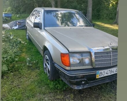 Серый Мерседес 230, объемом двигателя 2.3 л и пробегом 2 тыс. км за 700 $, фото 1 на Automoto.ua