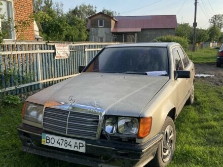 Мерседес 230 1987 у Чорткові на Automoto.ua Сірий Мерседес 230, об'ємом двигуна 2.3 л та пробігом 3 тис. км за 900 $, фото 1 на Automoto.ua