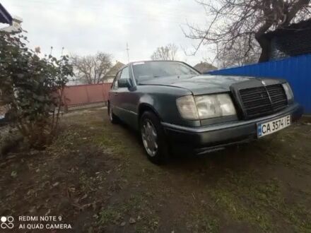 Мерседес 230 1988 в Золотоноше на Automoto.ua Серый Мерседес 230, объемом двигателя 2.3 л и пробегом 370 тыс. км за 2500 $, фото 1 на Automoto.ua