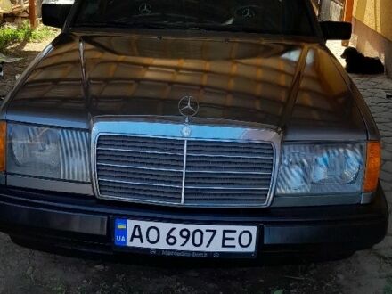 Мерседес 230 1989 в Виноградове на Automoto.ua Серый Мерседес 230, объемом двигателя 0 л и пробегом 520 тыс. км за 3000 $, фото 1 на Automoto.ua