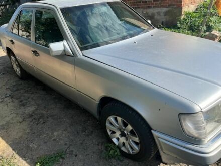 Мерседес 230 1992 в Харькове на Automoto.ua Серый Мерседес 230, объемом двигателя 2.3 л и пробегом 200 тыс. км за 2800 $, фото 1 на Automoto.ua