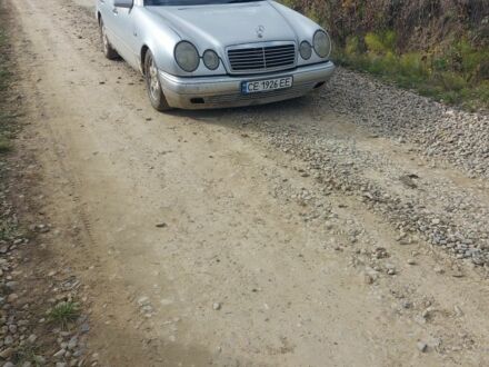 Мерседес 230 1997 в Черновцах на Automoto.ua Серый Мерседес 230, объемом двигателя 2.3 л и пробегом 327 тыс. км за 2300 $, фото 1 на Automoto.ua