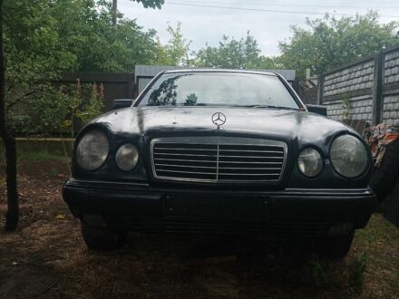 Мерседес 230 1997 в Днепре (Днепропетровске) на Automoto.ua Синий Мерседес 230, объемом двигателя 0 л и пробегом 1 тыс. км за 700 $, фото 1 на Automoto.ua