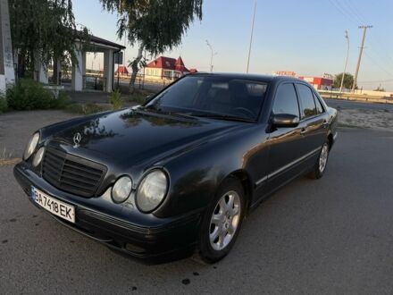 Мерседес 240 1999 в Кривом Озере на Automoto.ua Черный Мерседес 240, объемом двигателя 2.4 л и пробегом 200 тыс. км за 3200 $, фото 1 на Automoto.ua