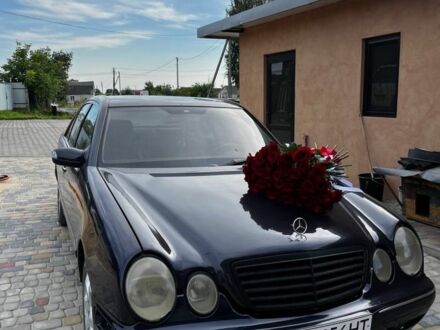Фіолетовий Мерседес 240, об'ємом двигуна 2.7 л та пробігом 370 тис. км за 3333 $, фото 1 на Automoto.ua