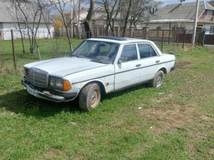 Мерседес 240 1978 в Богородчанах на Automoto.ua Красный Мерседес 240, объемом двигателя 2.4 л и пробегом 300 тыс. км за 1200 $, фото 1 на Automoto.ua
