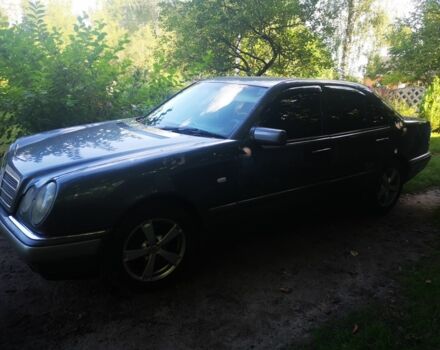 Серый Мерседес 240, объемом двигателя 2.4 л и пробегом 467 тыс. км за 2300 $, фото 1 на Automoto.ua