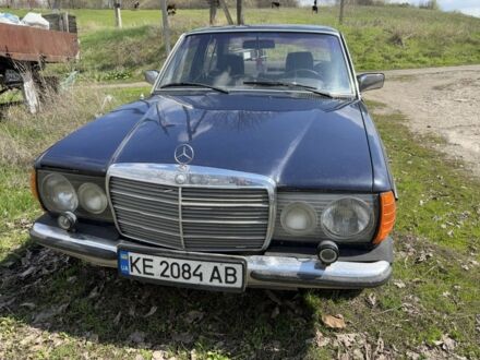 Мерседес 240 1982 в Новомосковске на Automoto.ua Синий Мерседес 240, объемом двигателя 2.4 л и пробегом 500 тыс. км за 1000 $, фото 1 на Automoto.ua