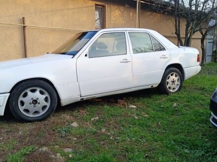 Белый Мерседес 250, объемом двигателя 0 л и пробегом 111 тыс. км за 1400 $, фото 1 на Automoto.ua