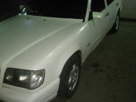 Мерседес 250 1990 в Нежине на Automoto.ua Белый Мерседес 250, объемом двигателя 2.5 л и пробегом 400 тыс. км за 1700 $, фото 1 на Automoto.ua