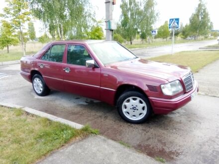 Мерседес 250 1995 у Вараш (Кузнецовськ) на Automoto.ua Червоний Мерседес 250, об'ємом двигуна 2.5 л та пробігом 280 тис. км за 3000 $, фото 1 на Automoto.ua