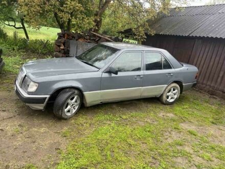 Мерседес 250 1988 в Черновцах на Automoto.ua Серый Мерседес 250, объемом двигателя 2.5 л и пробегом 444 тыс. км за 1782 $, фото 1 на Automoto.ua