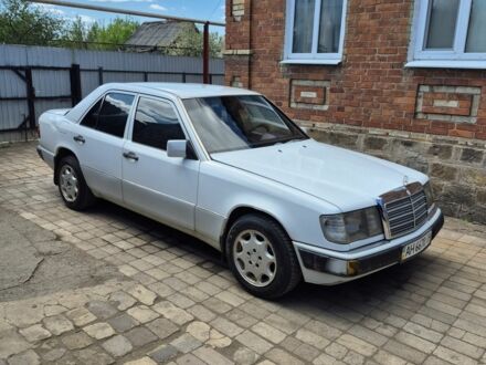 Мерседес 260 1990 в Дружковке на Automoto.ua Белый Мерседес 260, объемом двигателя 2.6 л и пробегом 320 тыс. км за 1800 $, фото 1 на Automoto.ua