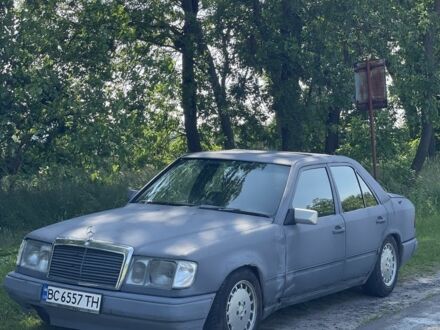 Мерседес 260 1986 в Львове на Automoto.ua Серый Мерседес 260, объемом двигателя 2.6 л и пробегом 2 тыс. км за 1700 $, фото 1 на Automoto.ua