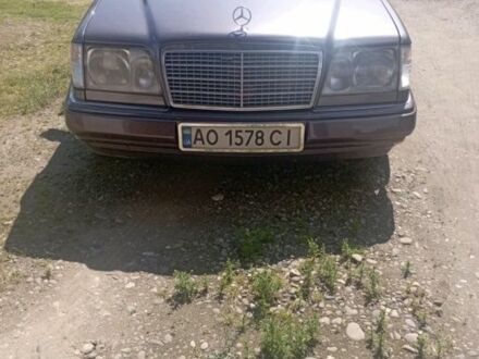 Мерседес 280 1995 в Хусте на Automoto.ua Фиолетовый Мерседес 280, объемом двигателя 2.8 л и пробегом 364 тыс. км за 3000 $, фото 1 на Automoto.ua