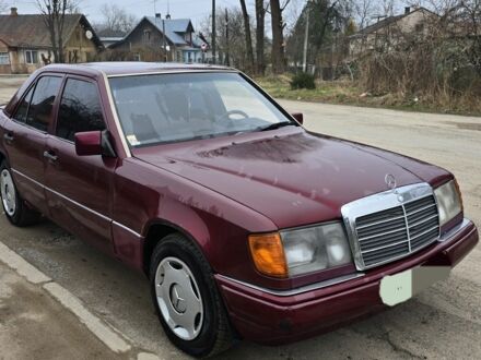 Мерседес 300 1991 у Дрогобичі на Automoto.ua Червоний Мерседес 300, об'ємом двигуна 3 л та пробігом 350 тис. км за 3500 $, фото 1 на Automoto.ua