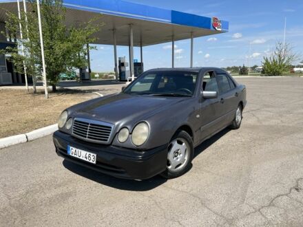 Мерседес 300 1996 в Николаеве на Automoto.ua Серый Мерседес 300, объемом двигателя 0 л и пробегом 450 тыс. км за 1499 $, фото 1 на Automoto.ua