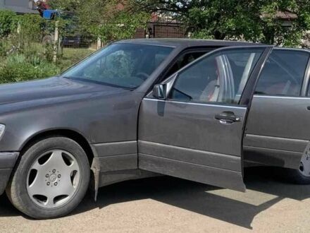 Мерседес 300 1997 в Кривом Роге на Automoto.ua Серый Мерседес 300, объемом двигателя 3 л и пробегом 390 тыс. км за 4795 $, фото 1 на Automoto.ua