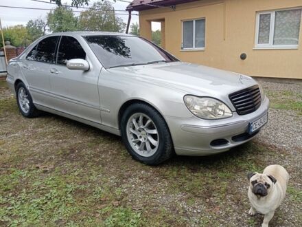 Мерседес 320 2002 у Вижнице на Automoto.ua Сірий Мерседес 320, об'ємом двигуна 3 л та пробігом 374 тис. км за 6800 $, фото 1 на Automoto.ua