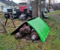 Мерседес 817, объемом двигателя 0 л и пробегом 0 тыс. км за 26200 $, фото 15 на Automoto.ua