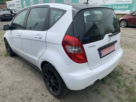 Мерседес А класс 2010 в Броварах на Automoto.ua Белый Мерседес А класс, объемом двигателя 1.7 л и пробегом 87 тыс. км за 6500 $, фото 1 на Automoto.ua