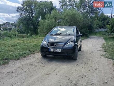 Мерседес А класс 1999 в Полтаве на Automoto.ua Черный Мерседес А класс, объемом двигателя 1.6 л и пробегом 260 тыс. км за 2499 $, фото 1 на Automoto.ua