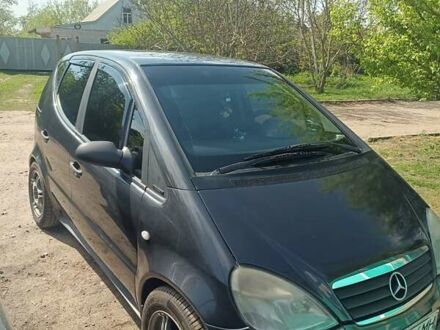 Мерседес А класс 2000 в Харькове на Automoto.ua Черный Мерседес А класс, объемом двигателя 1.7 л и пробегом 245 тыс. км за 3500 $, фото 1 на Automoto.ua
