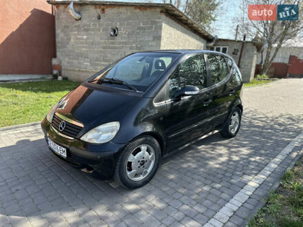 Мерседес А клас 2003 у Чернівцях на Automoto.ua Чорний Мерседес А клас, об'ємом двигуна 1.7 л та пробігом 228 тис. км за 3350 $, фото 1 на Automoto.ua