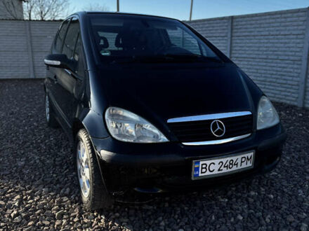 Мерседес А класс 2003 в Бучаче на Automoto.ua Черный Мерседес А класс, объемом двигателя 1.6 л и пробегом 241 тыс. км за 3599 $, фото 1 на Automoto.ua