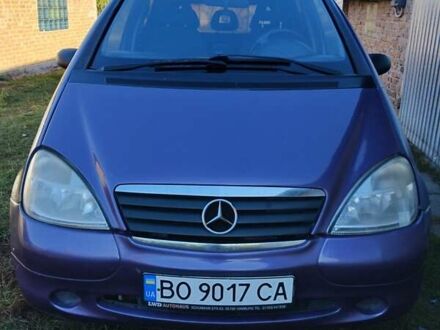 Мерседес А класс 1999 в Горохов на Automoto.ua Фиолетовый Мерседес А класс, объемом двигателя 1.6 л и пробегом 340 тыс. км за 2400 $, фото 1 на Automoto.ua