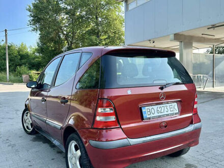 Мерседес А класс 2001 в Тернополе на Automoto.ua Красный Мерседес А класс, объемом двигателя 1.4 л и пробегом 169 тыс. км за 3100 $, фото 1 на Automoto.ua