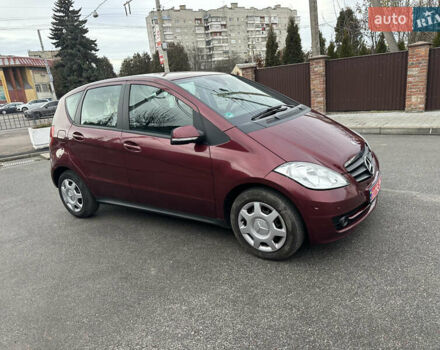 Красный Мерседес А класс, объемом двигателя 1.7 л и пробегом 204 тыс. км за 6800 $, фото 1 на Automoto.ua