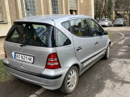 Мерседес А клас 2002 у Ужгороді на Automoto.ua Мерседес А клас, об'ємом двигуна 1.4 л та пробігом 250 тис. км за 3200 $, фото 1 на Automoto.ua