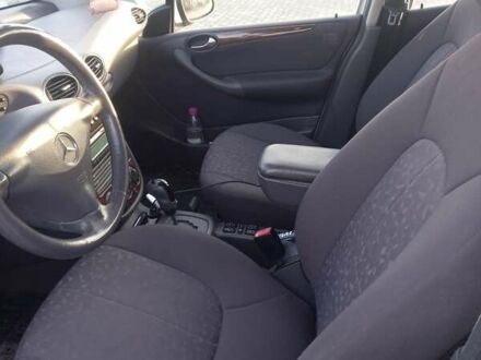 Мерседес А класс 2003 в Тернополе на Automoto.ua Мерседес А класс, объемом двигателя 1.6 л и пробегом 184 тыс. км за 4500 $, фото 1 на Automoto.ua
