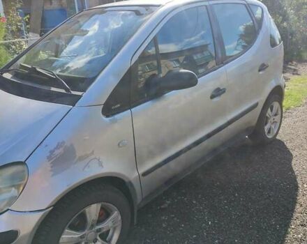 Мерседес А клас 2002 у Борисполе на Automoto.ua Сірий Мерседес А клас, об'ємом двигуна 1.6 л та пробігом 300 тис. км за 3100 $, фото 1 на Automoto.ua