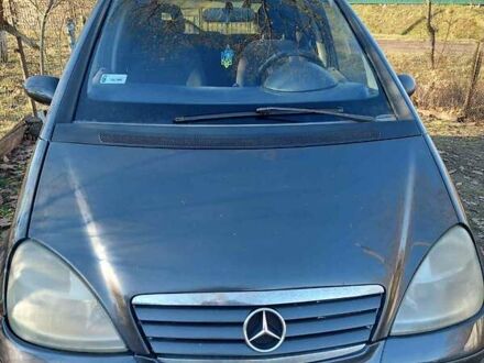 Мерседес А клас 1999 у Івано-Франківську на Automoto.ua Сірий Мерседес А клас, об'ємом двигуна 1.7 л та пробігом 300 тис. км за 3200 $, фото 1 на Automoto.ua