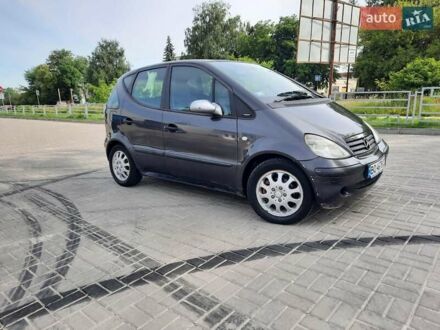 Мерседес А класс 2001 в Тернополе на Automoto.ua Серый Мерседес А класс, объемом двигателя 1.7 л и пробегом 217 тыс. км за 3700 $, фото 1 на Automoto.ua