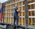 Красный Мерседес Актрос, объемом двигателя 12 л и пробегом 300 тыс. км за 26000 $, фото 26 на Automoto.ua