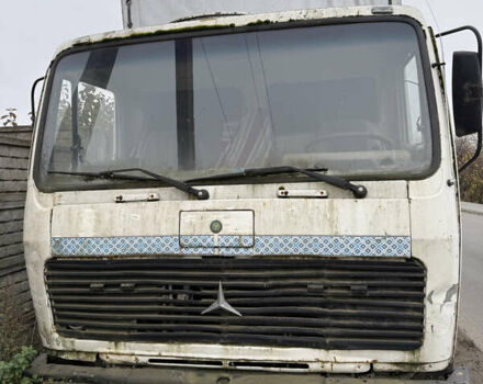 Мерседес Актрос, об'ємом двигуна 0 л та пробігом 242 тис. км за 3500 $, фото 4 на Automoto.ua