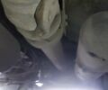 Синий Мерседес Актрос, объемом двигателя 12.81 л и пробегом 950 тыс. км за 32000 $, фото 1 на Automoto.ua