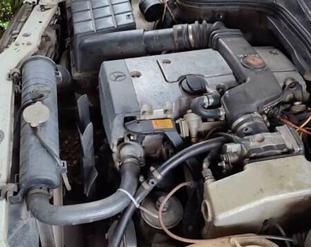 Мерседес Ц-Клас 1995 у Тернополі на Automoto.ua Білий Мерседес Ц-Клас, об'ємом двигуна 1.8 л та пробігом 600 тис. км за 2600 $, фото 15 на Automoto.ua