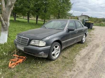Мерседес Ц-Клас 1998 у Рівному на Automoto.ua Білий Мерседес Ц-Клас, об'ємом двигуна 2 л та пробігом 250 тис. км за 750 $, фото 1 на Automoto.ua