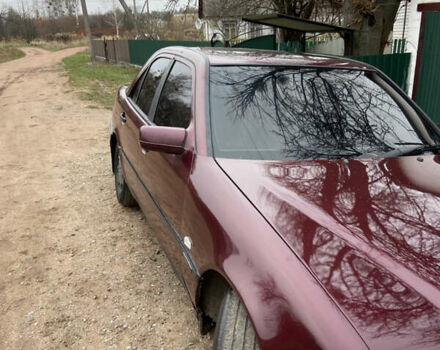 Красный Мерседес Ц-Класс, объемом двигателя 1.8 л и пробегом 280 тыс. км за 3000 $, фото 4 на Automoto.ua