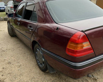 Красный Мерседес Ц-Класс, объемом двигателя 1.8 л и пробегом 280 тыс. км за 3000 $, фото 2 на Automoto.ua