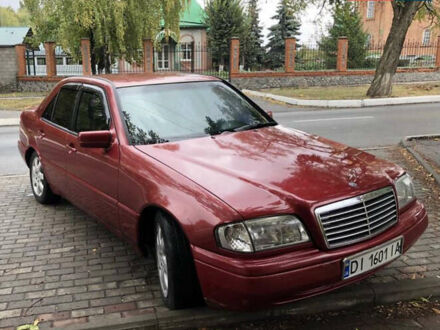 Мерседес Ц-Клас 1994 у Павлограде на Automoto.ua Червоний Мерседес Ц-Клас, об'ємом двигуна 2.2 л та пробігом 360 тис. км за 3300 $, фото 1 на Automoto.ua