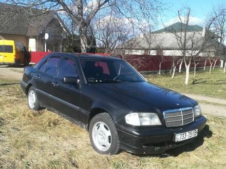Мерседес Ц-Клас 1994 у Вижнице на Automoto.ua Мерседес Ц-Клас, об'ємом двигуна 2 л та пробігом 216 тис. км за 3300 $, фото 1 на Automoto.ua