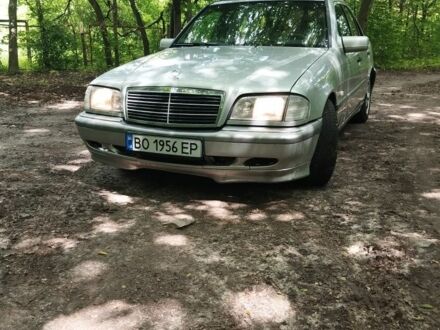 Мерседес Ц-Класс 1998 в Каменце-Подольском на Automoto.ua Серый Мерседес Ц-Класс, объемом двигателя 1.8 л и пробегом 326 тыс. км за 2300 $, фото 1 на Automoto.ua